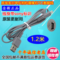 Original SONY SONY T-port cable trapezoidal port 5P cable Digital camera camcorder USB data transfer cable