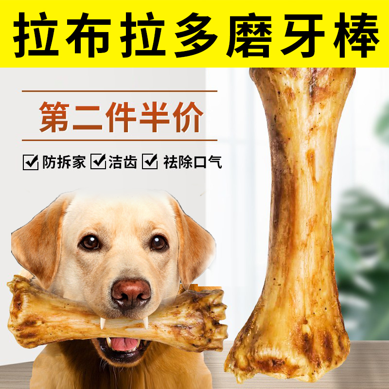 Labrador molar stick training snacks puppies large and small dogs dog supplies toys to relieve boredom artifact special
