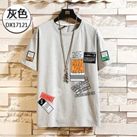17121 Grey [Multi -Label]