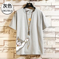 17013 Грей [манит кошка]