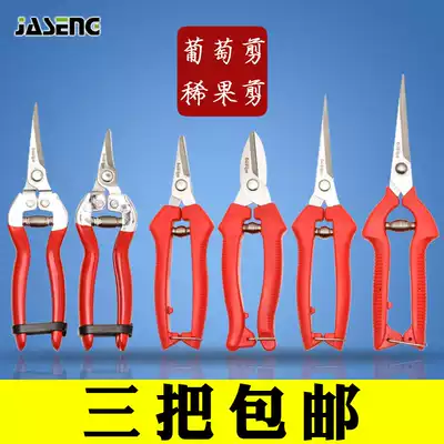 Gardening scissors pruning scissors grape scissors picking fruit buds scissors home labor-saving branch scissors pruning scissors