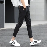 Эластичные летние трендовые штаны для отдыха, осенние, в корейском стиле