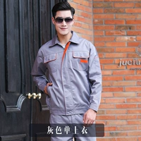 Серый Хризантема Топ