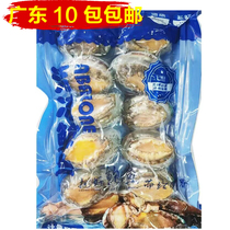 (Weifeng Frozen Products) Live Frozen Abalone Taro with Shell 10 Heads Hotel Ingredients Abalone Chicken Hot Pot Abalone Garlic Abalone