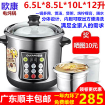 Eurocon Stainless Steel Electric Saucepan Large Capacity Water-Stop Saucepan Home Cooking Porridge Saucepan Fully Automatic Commercial Electric Stockpot Double Liner