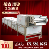 Large asparagus sour shoots blanching the water-removing flow line corn mullet pre-cooking machine vegetarian hair-belly pasteal killing machine