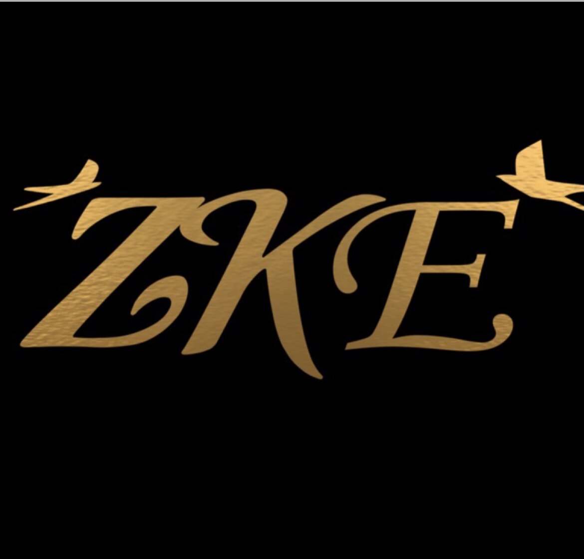 ZKE品牌店
