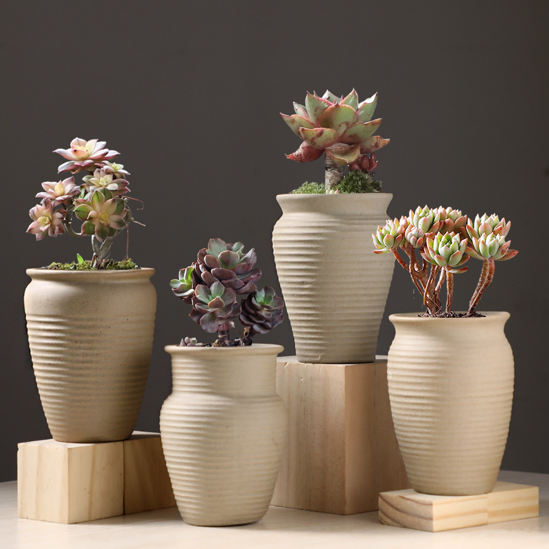 Meaty little old running the flowerpot ceramic package mail large basin through special offer a clearance, fleshy pockets tao Meaty plant flower pot