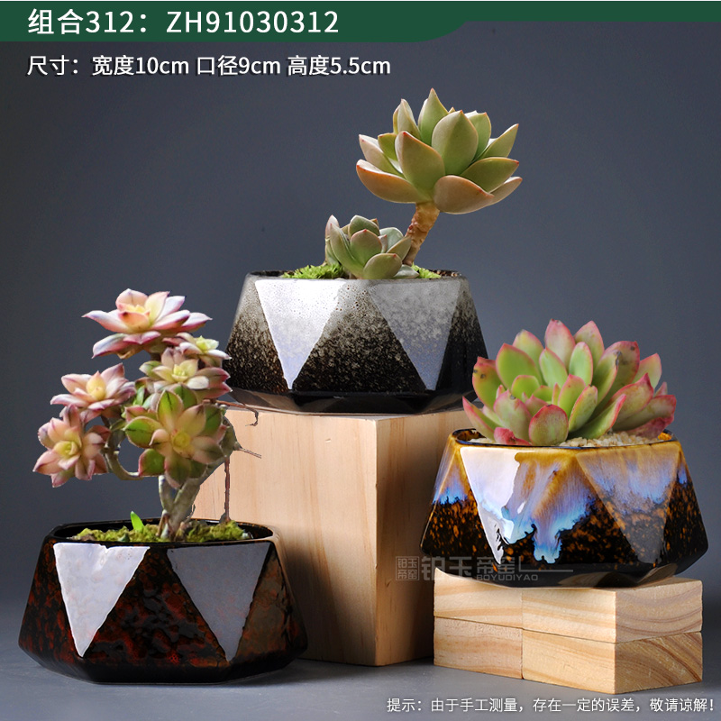 Platinum jade fleshy flowerpot geometric polygon small flower POTS of creative move Nordic ins flesh pottery pot the plants