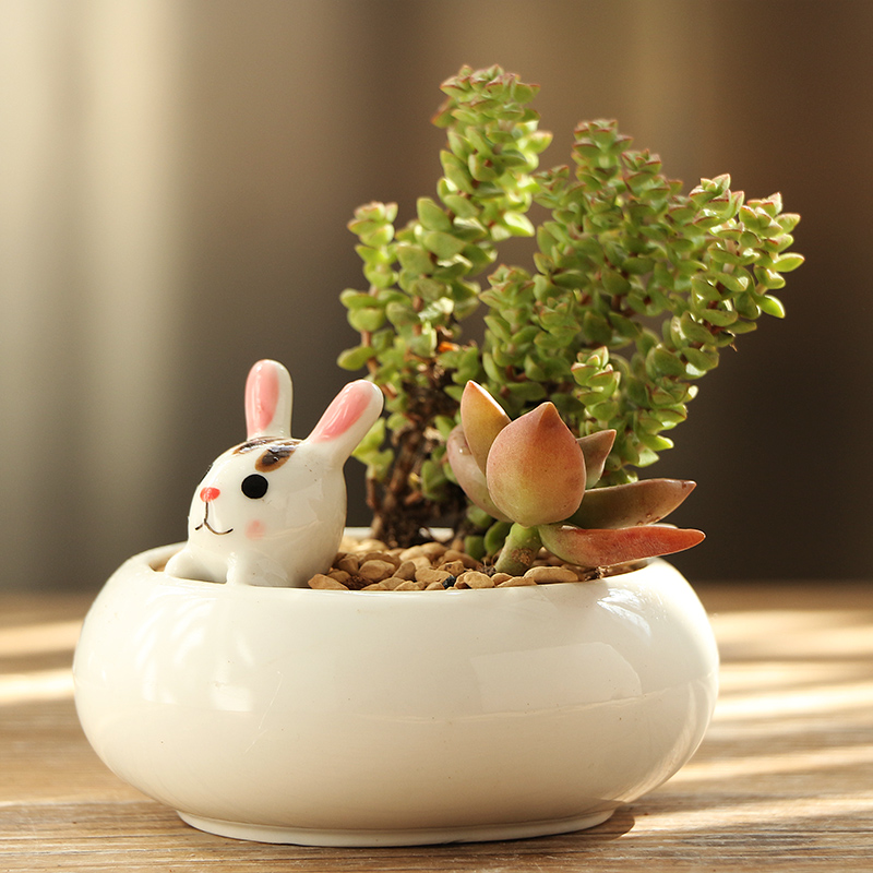 Platinum jade fleshy flowerpot cartoon ceramic flower pot indoor desktop express giraffe charming animals potted the plants