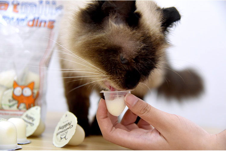 Cả hai con dê sữa bạch kim Mèo Pudding Baby Cat Wet Food Jelly Cat Snacks Bag 16g * 15 - Cat / Dog Health bổ sung sữa mèo