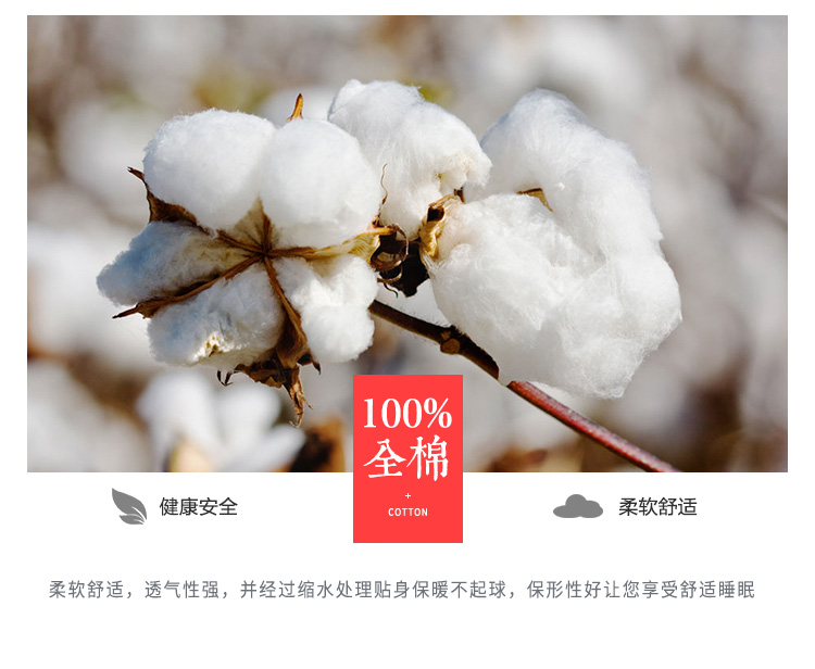 Tùy chỉnh 100% bông chà nhám dày ba bộ nam và nữ đôi tấm bông lớn drap trải giường