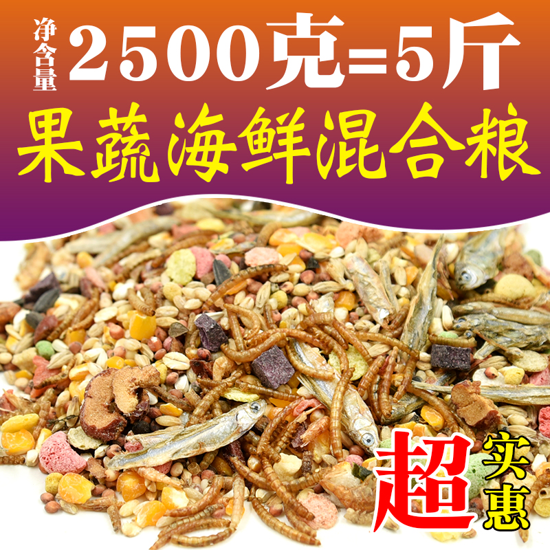 Hamster grain nutrition staple food golden bear grain feed bread worm dried melon seeds small snacks self-made fruit and vegetable grains