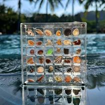 Coque dentreposage Coque acrylique Transparent Miniature Stone Seaside Specimen Photo Cadre Collection Collection Insecte Collection Box