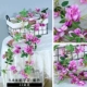 Purple Gardenia Vine