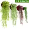 Simulation floral rattan living room plastic admiralty willow wall hanging basket Green leaf floral rattan hanging