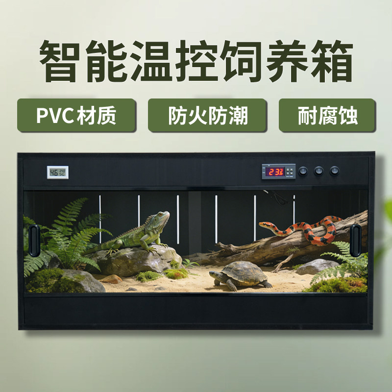 爬宠世界DIY