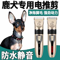 Small Deer Dog Special Electric Push Cut Pet Shave Fur Pooch Shave Professional Shave Hair Electric Pushback High Power Mute