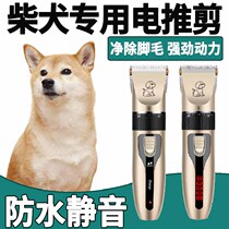 Chai Dog Special Electric Push Cut Pet Shave Woolen Machine Dog Shaving Machine Professional Shave Hair Electric Pushback High Power Mute