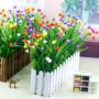 Mô phỏng hoa tulip hàng rào đặt hoa giả 绢 hoa nhựa hoa cửa sổ mặt trời trang trí góc phân vùng - Hoa nhân tạo / Cây / Trái cây bình hoa lựu giả