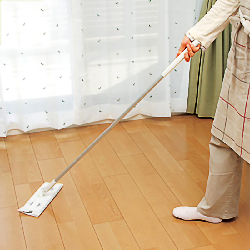 Japan's LEC lazy flat mop household wooden floor a clean wet and dry dual-use hand-free mopping artifact