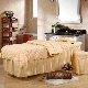 Làm đẹp trải giường bốn mảnh làm đẹp mùa đông thẩm mỹ viện bọc nệm giường 2018 đặc biệt chăn che bảo vệ màu tím khăn trải giường spa cao cấp