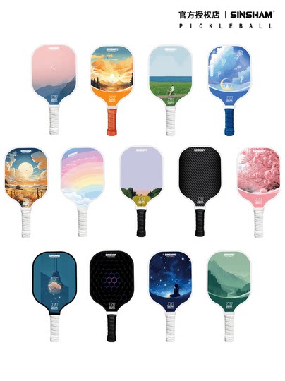 Sinsham Professional Fiberglass Pickleball Paddle, Training Paddle Specifically for College Students