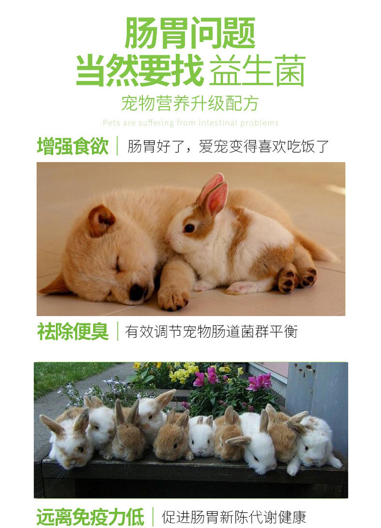 Chó mèo nói chung mới yêu thích Kang men vi sinh 10 gói / hộp 50g sản phẩm chăm sóc sức khỏe thú cưng nôn mửa điều hòa hơi thở hôi dạ dày Bột kích sữa cho chó mẹ