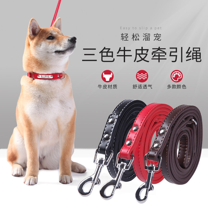 Pet Traction Rope Walking Dog Rope Pooch Pooch Kennel Large Dog Small Medium Sammoyer Gold Wool Teddy Supplies Dog Chain