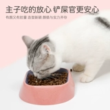 Симпатичная чаша для домашних животных собака кошка кошка бродяга против перекрытого рисового горшка бассейн кошачий бассейн рисовая миска кошка кошачья чаша для собаки собака собака маленькая чаша