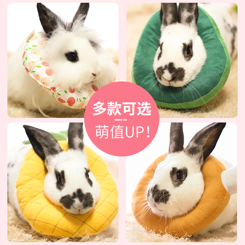 Pet Rabbit Elizabeth Circle Anti-biting Soft Item Circle Long Cat Guinea Cat Guinea Cat Cat Cat Cat Anti-Licking Neck kit