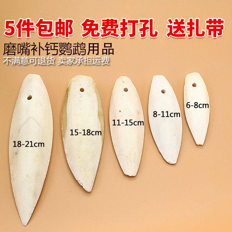 Cuttlefish bone tortoise calcium supplement super sea scorpion reptile turtle gnawing special squid bone climbing pet calcium supplement powder
