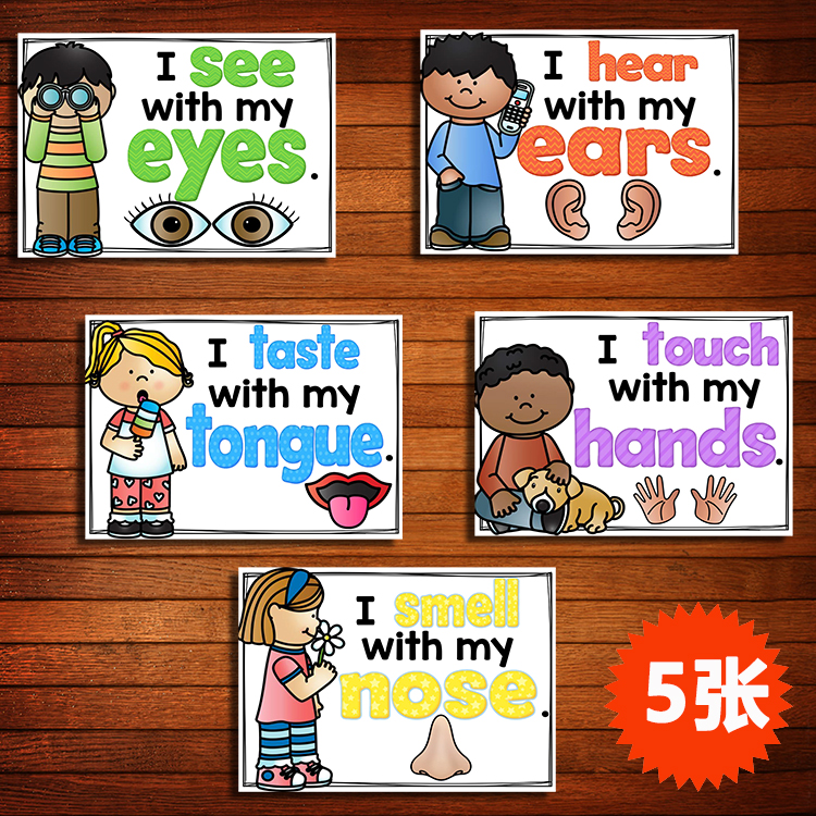 five senses five senses English word card English early education enlightenment flash card kindergarten teacher teaching aids