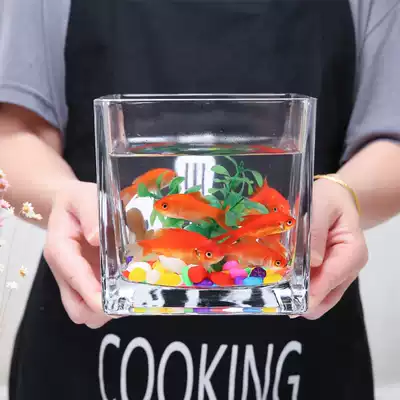Creative desktop glass small fish tank Square small living room ecological tropical fish tank office mini Peacock fish tank