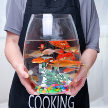 Round glass fish tank Household living room small desktop goldfish tank Creative office mini hydroponic dragon egg fish tank