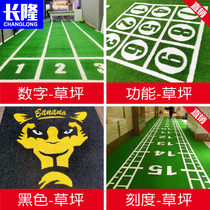 Gym lawn personal training physical fitness training sports fake turf track indoor studio custom carpet