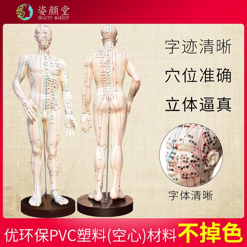 Body model Silicone Body Acupoint Model Human Male And Female Acupuncture-Moxibustion Human Meridian Acupoint Teaching Full Body Model