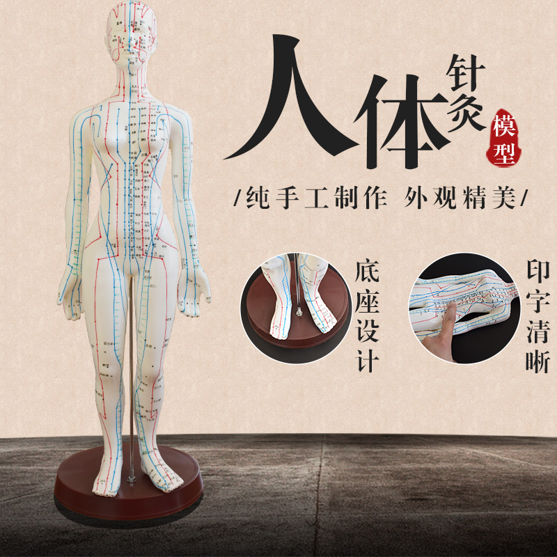 Body Model Acupuncture Acupoint Human Body Model Female Silicone Gel Chinese Medicine Model Body Meridian Acupoint Medical Model