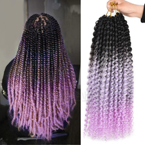 The Passion Twist Water Wave Crochet Curly Braid Hair Extensions