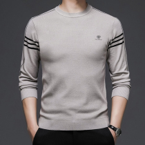 2021 new autumn mens round neck knitted long sleeve T-shirt thin sweater Korean version of casual dress base