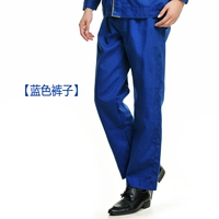 Синие [обычные брюки холста]