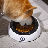 Двойная чаша для кошачьей кошки для любимой собаки для защиты бассейна шейки матки в бассейне для собак рисовой горшок для блюд, две посуды с высоким содержанием подготовки