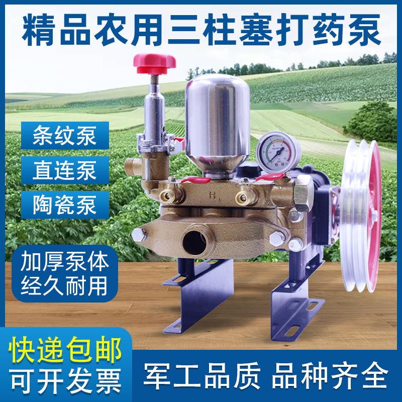 Agricultural High Pressure Triple Cylinder Plunger Beating Drug Pump 26 Type 60 Free Butter Dosing Machine Nebulizer Pressure Pump Straight Connected Pump Head 
