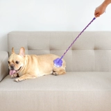 Dog Pet Training Dog Whip Love Стрельба для собак