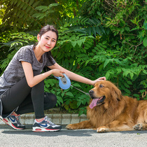 Alice Dog Household Pet Leash Dog Walking Rope Teddy Collar Large Pet Supplies Golden Retriever Harness