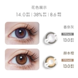 Миоми Ми Оме Ученик Женщина, бросающая естественное смешанное кровь серо -коричневое диаметр, консолидация скорости цисроники