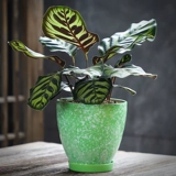 宣福 Керамический цветочный горшок, большой креативный корсет на тазовое кольцо, комплект, подходит для подростков