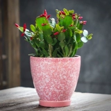 宣福 Керамический цветочный горшок, большой креативный корсет на тазовое кольцо, комплект, подходит для подростков