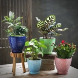 宣福 Керамический цветочный горшок, большой креативный корсет на тазовое кольцо, комплект, подходит для подростков