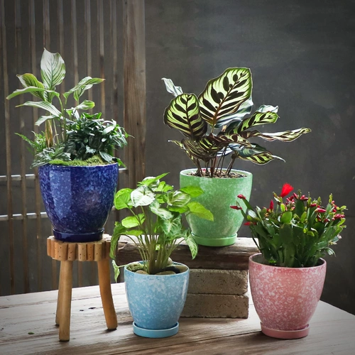 宣福 Керамический цветочный горшок, большой креативный корсет на тазовое кольцо, комплект, подходит для подростков